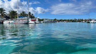 <b>Que faire depuis Bayahibe? </b><br> îles réputées & coins reculés