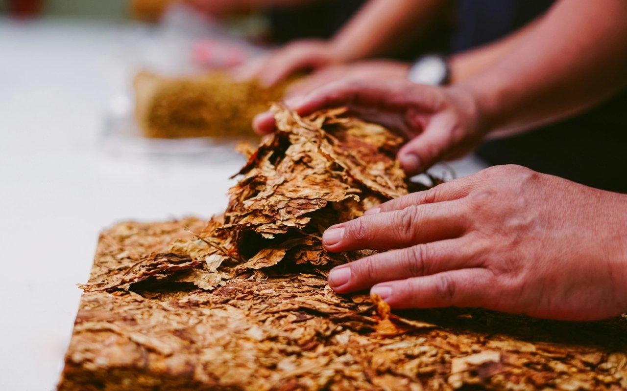 Vallée du Cibao : culture et traditions
