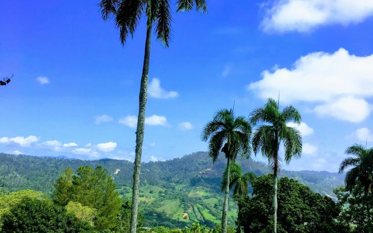 Les montagnes du centre