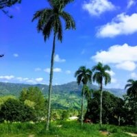 Les montagnes du centre