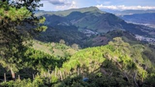 Sierra de Bahoruco : <br>Ornithologie en République Dominicaine