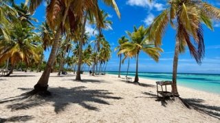 Comment choisir entre Isla Saona et Isla Catalina ?