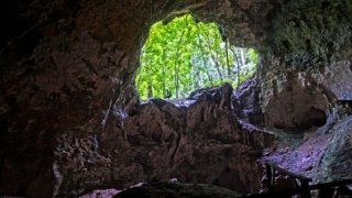 Grottes et cénotes en République Dominicaine :<br>l&rsquo;héritage taïno souterrain