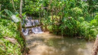 Parcs nationaux et aires protégées<br>en République Dominicaine : lesquels visiter ?