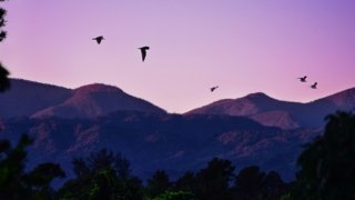 <b>Vols et compagnies aériennes</b><br> pour la République dominicaine